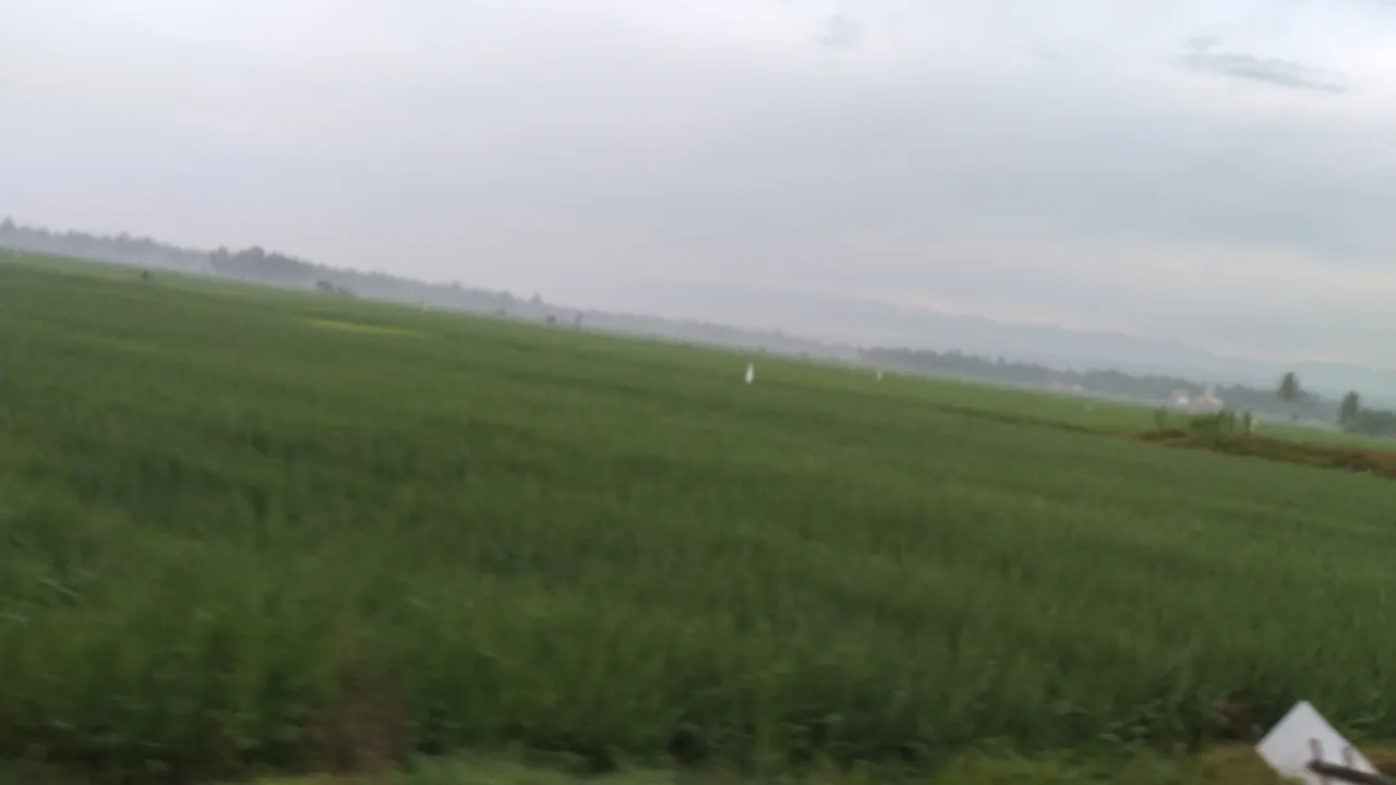 20240310_065905.jpg