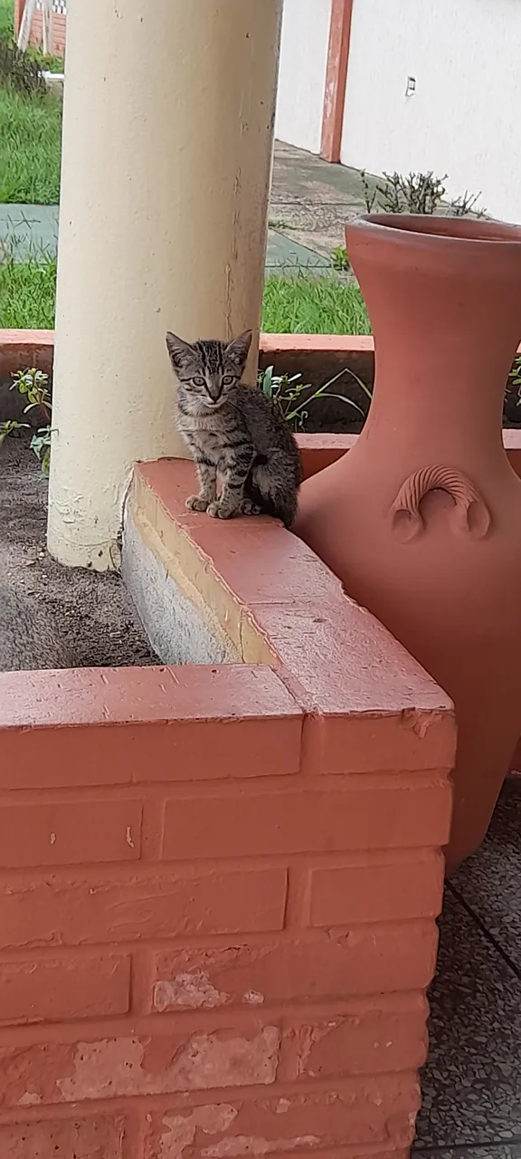 20220712_103328.jpg