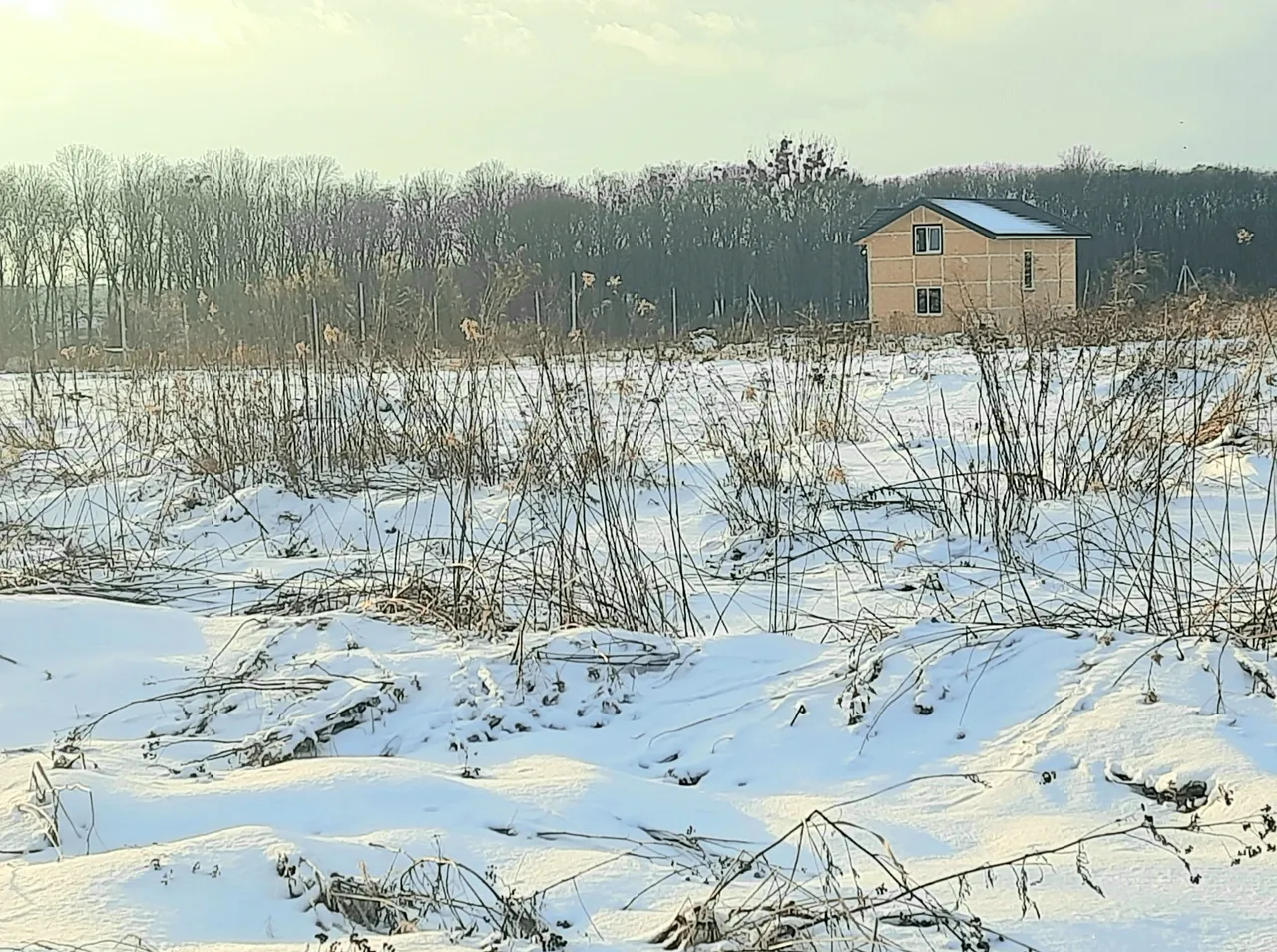 20220120_161045.jpg