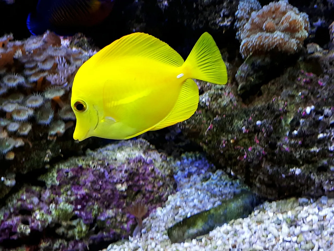 20190120_140206.jpg