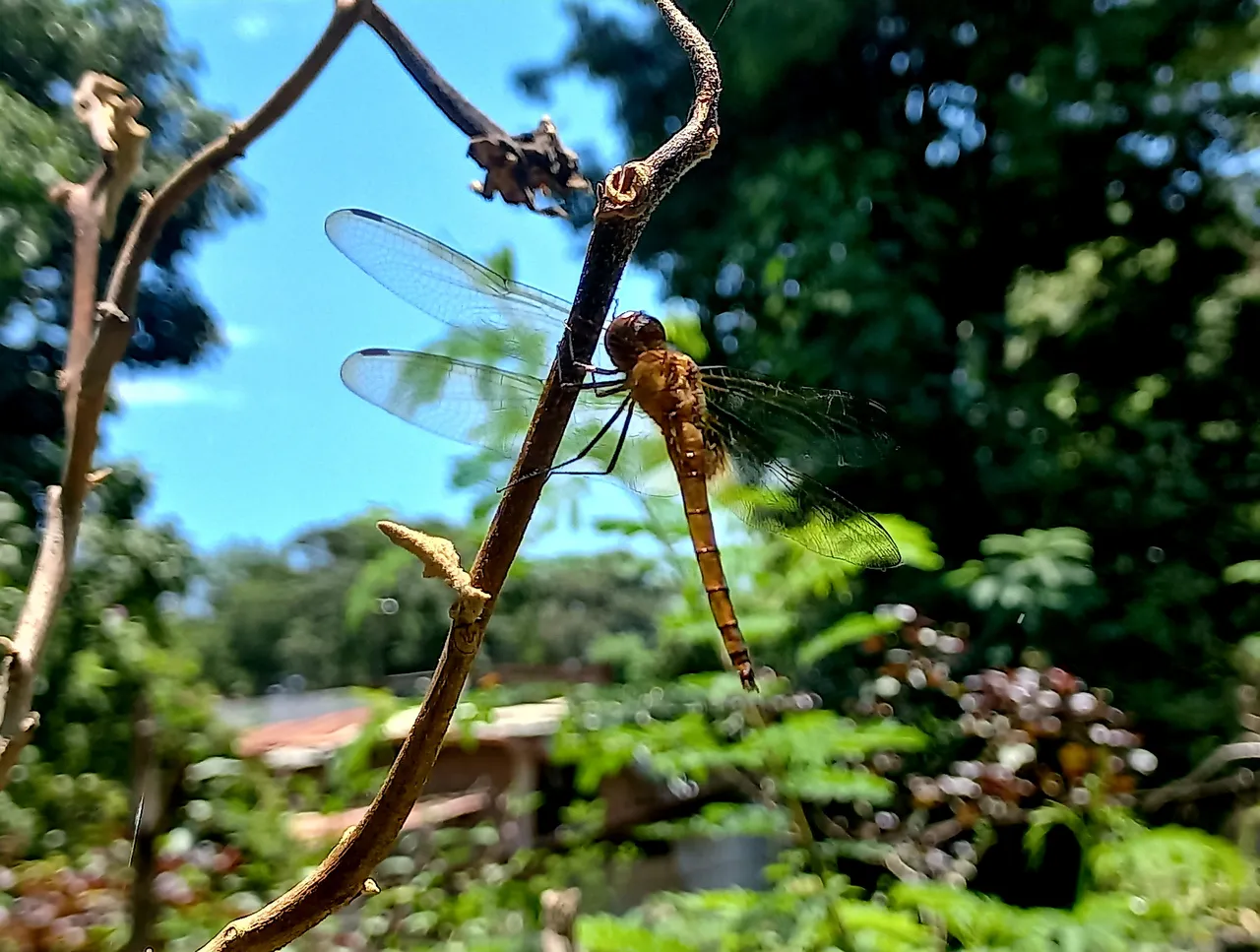 20230827_125040.jpg