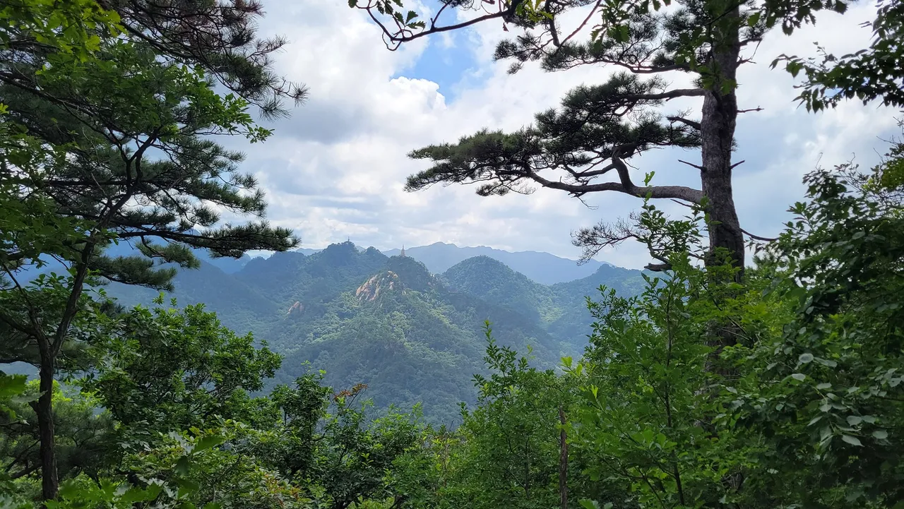 20220801_122750.jpg