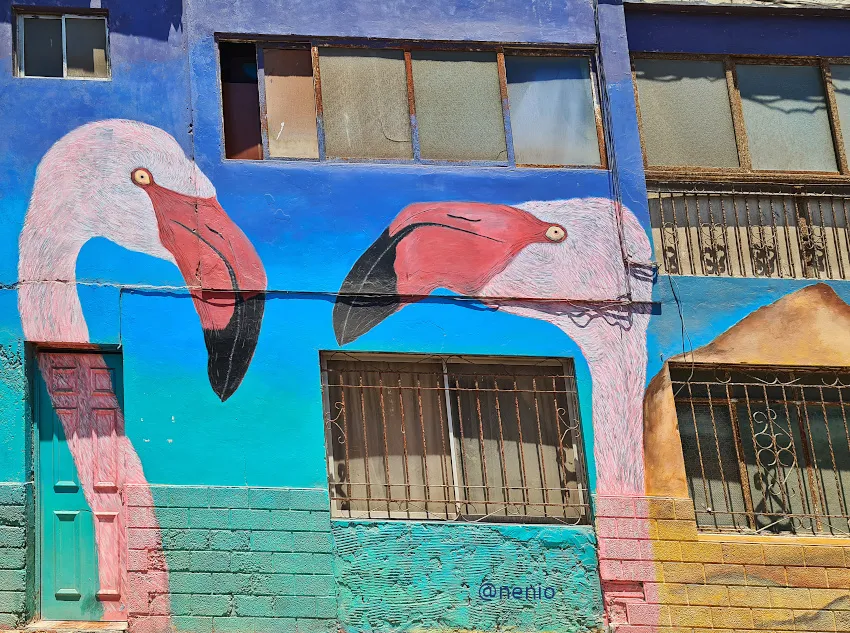 flamingos-mural.jpg