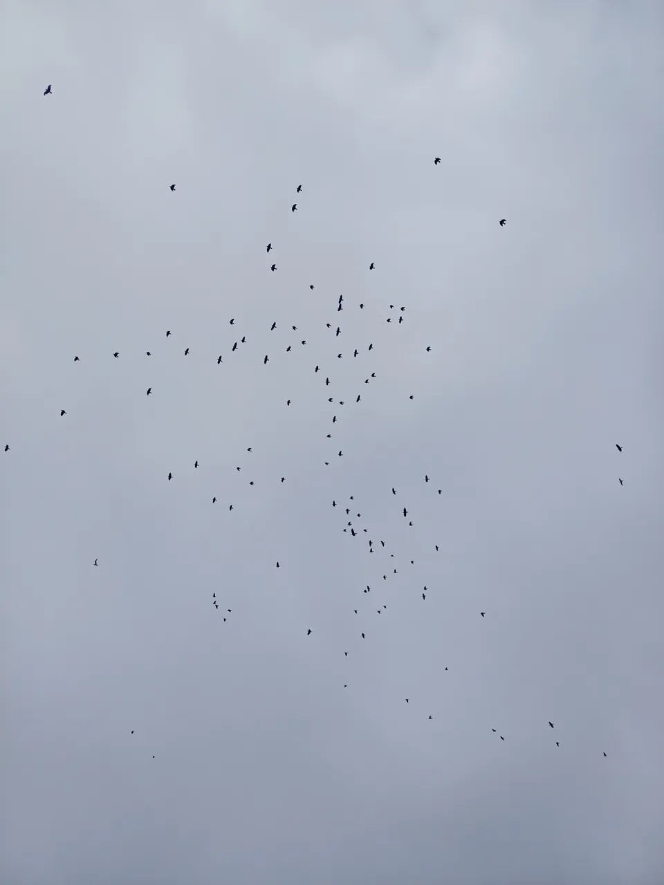 20250709_133636.jpg
