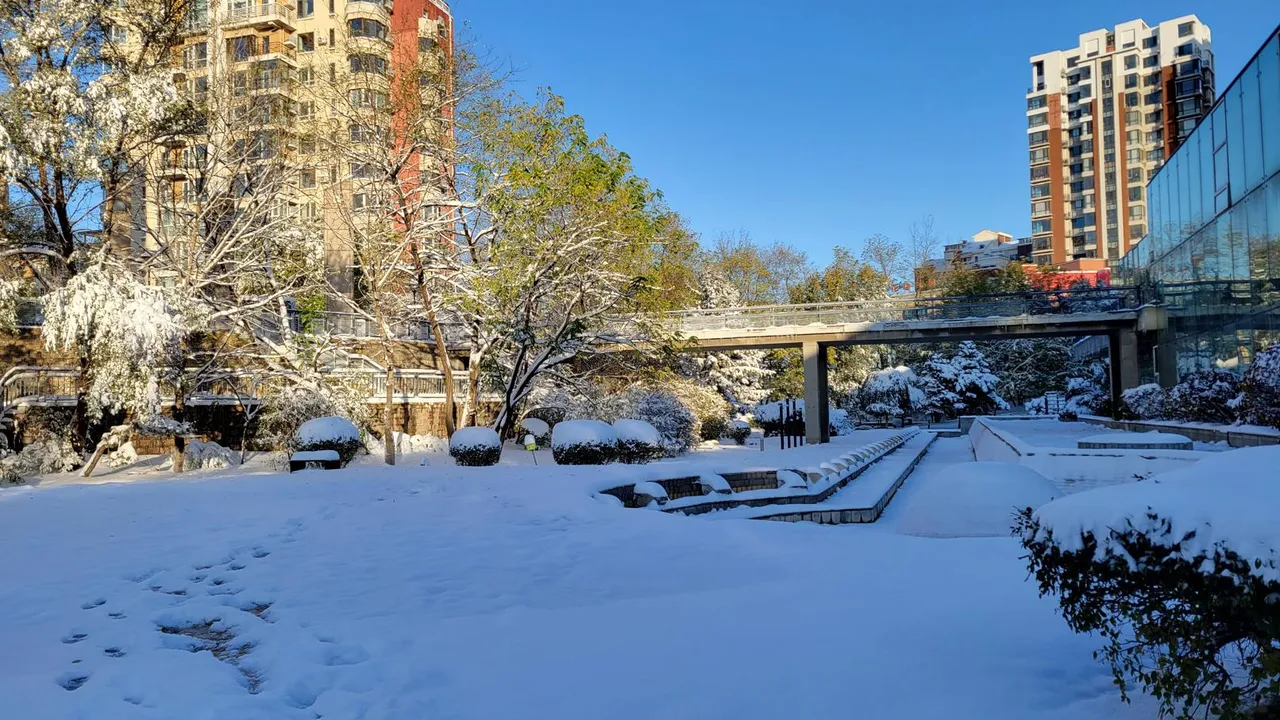 20231107_074509.jpg