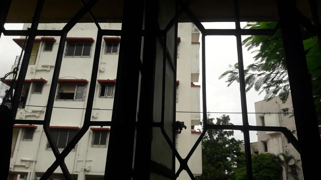 20200915_145156.jpg