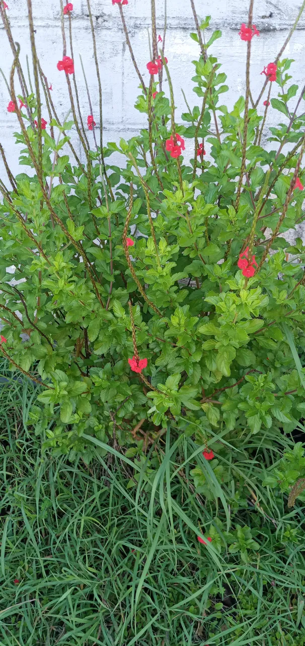 20250628_170500.jpg