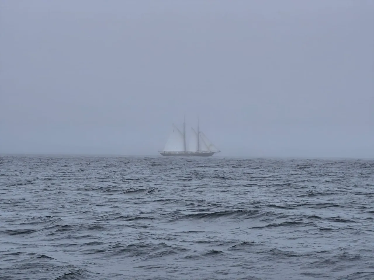 bluenose-in-fog.jpg