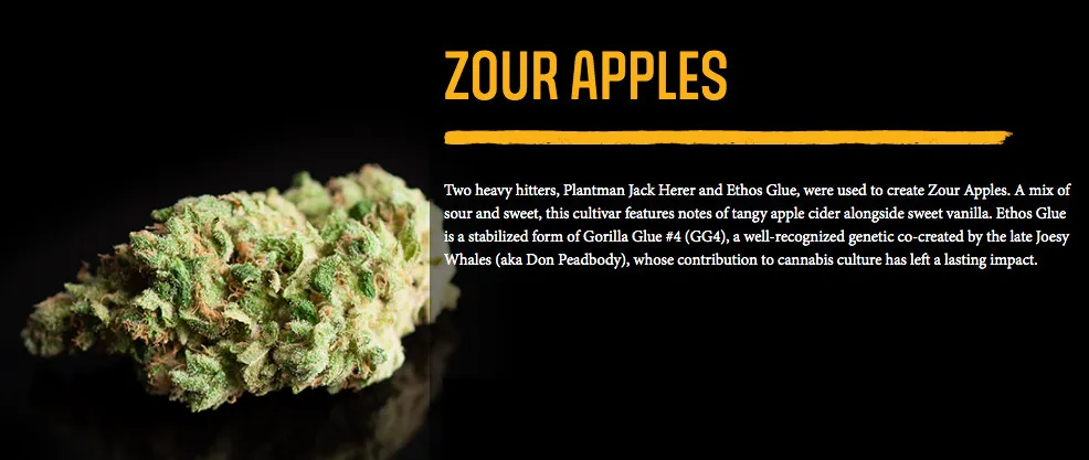 zourapples_nh_6.jpg