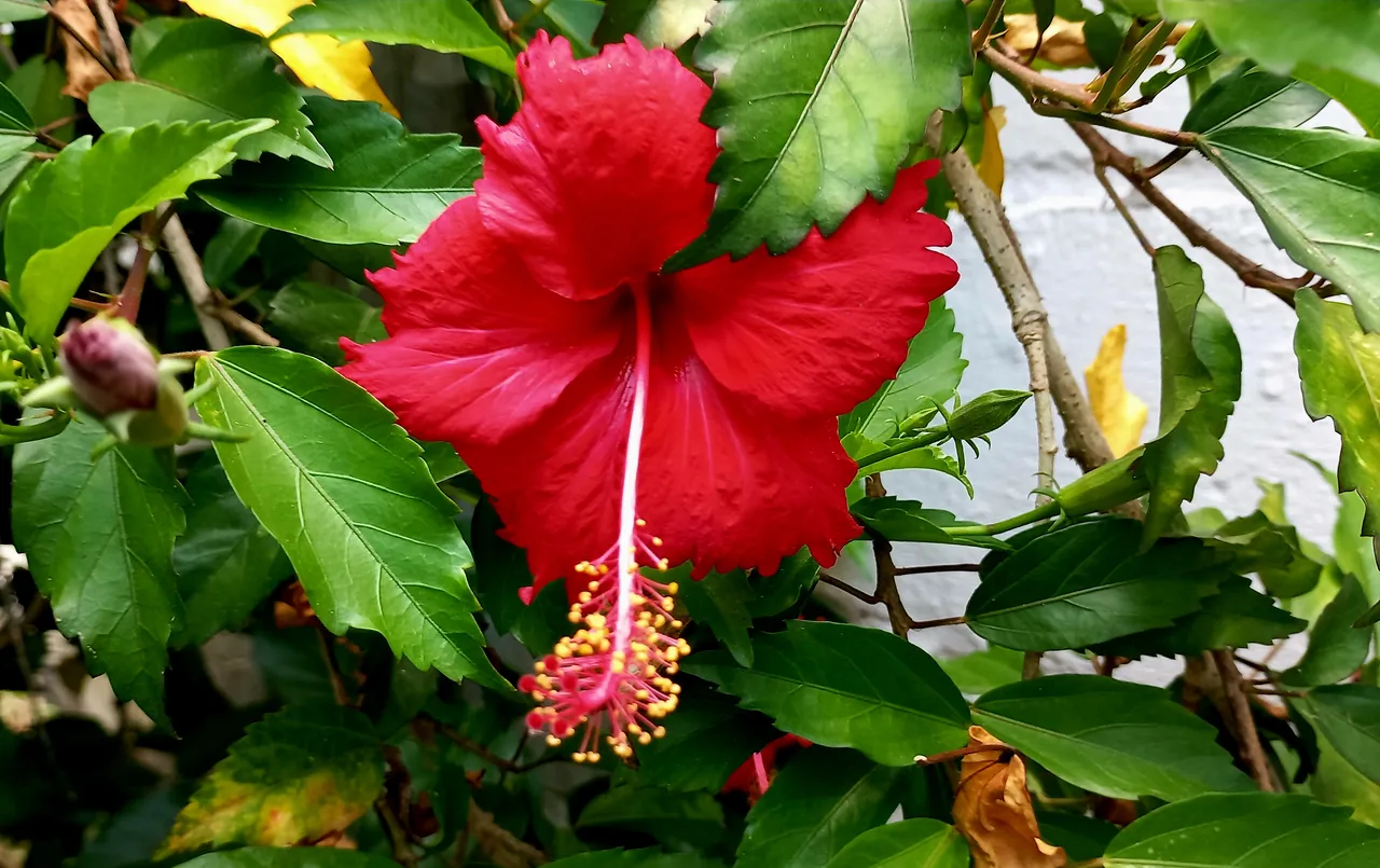 20230903_121454.jpg