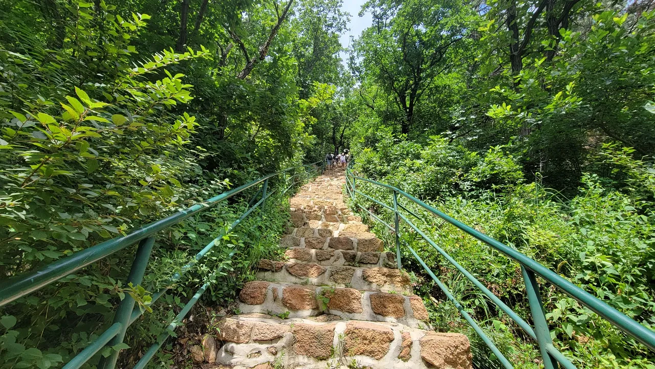 20220801_122048.jpg