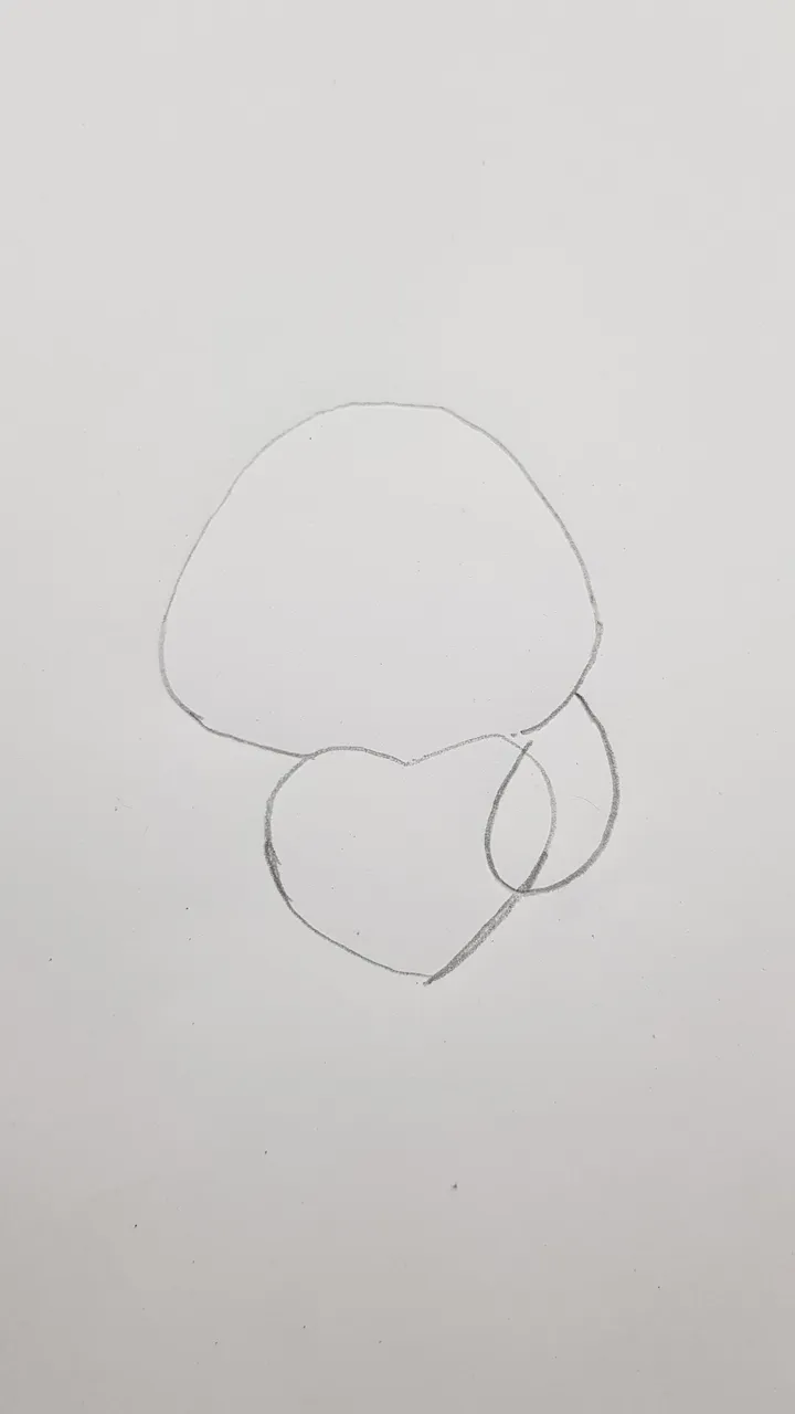 20220225_231026.jpg