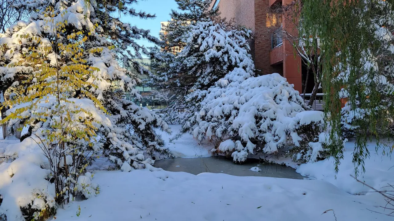 20231107_074642.jpg