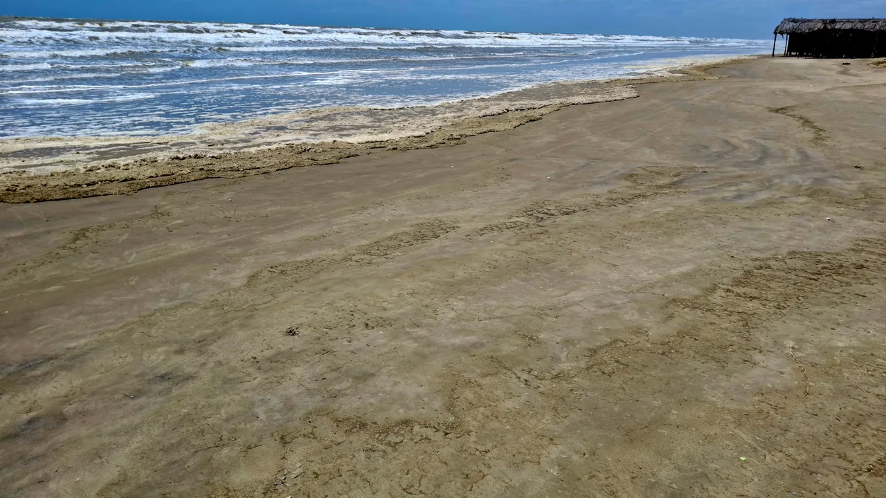 20250621_122558.jpg