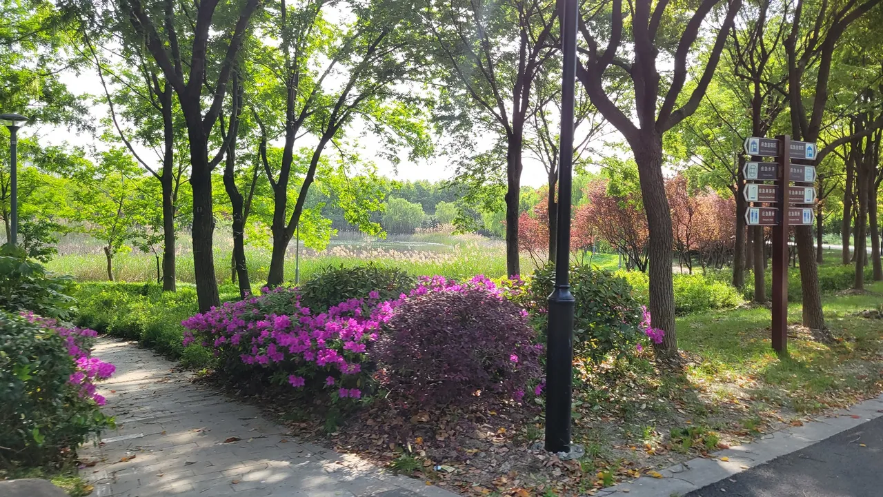20230421_152726.jpg