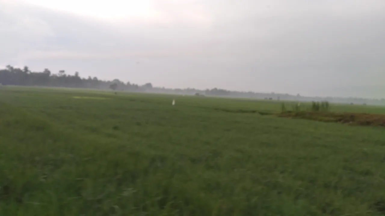 20240310_065910.jpg