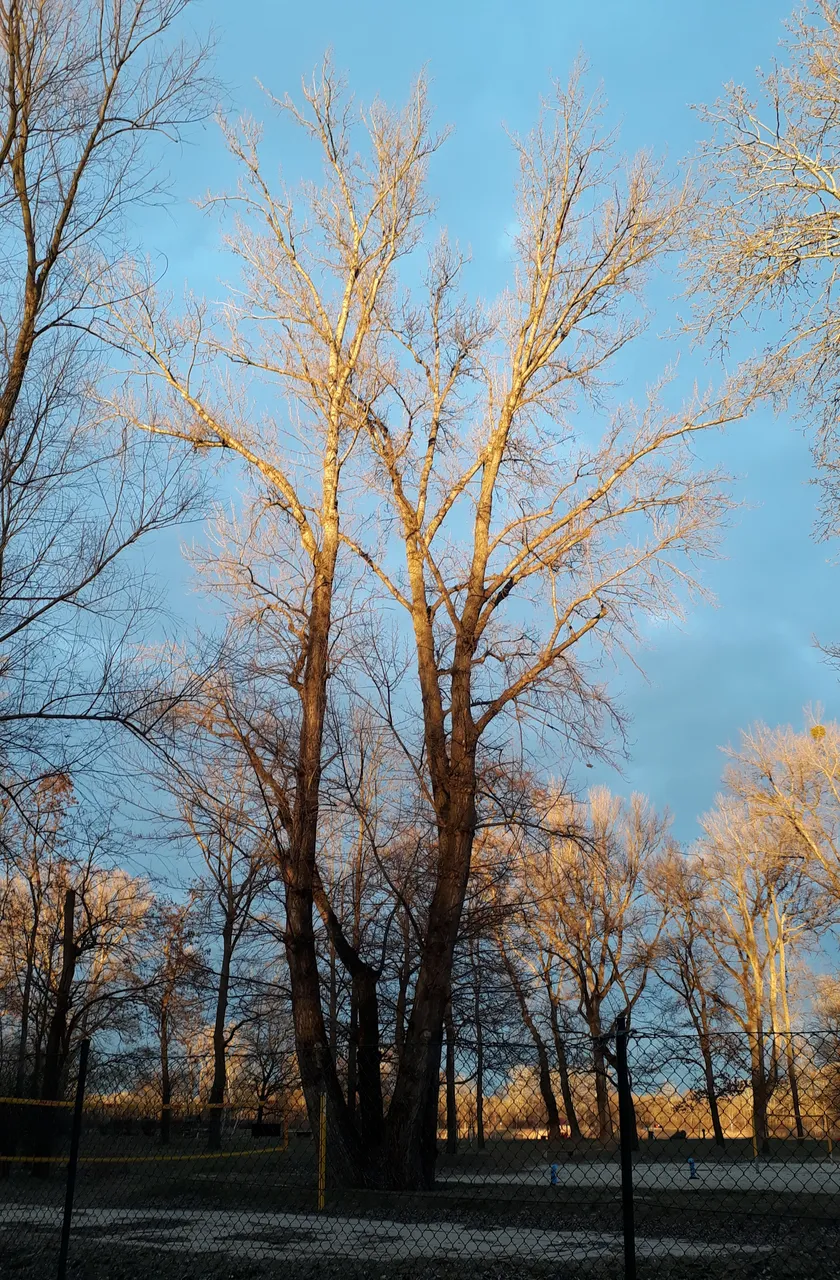 20220321_094434.jpg
