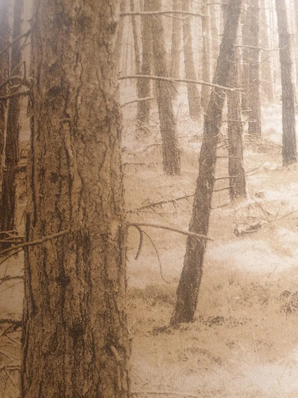 20201228_154211.jpg