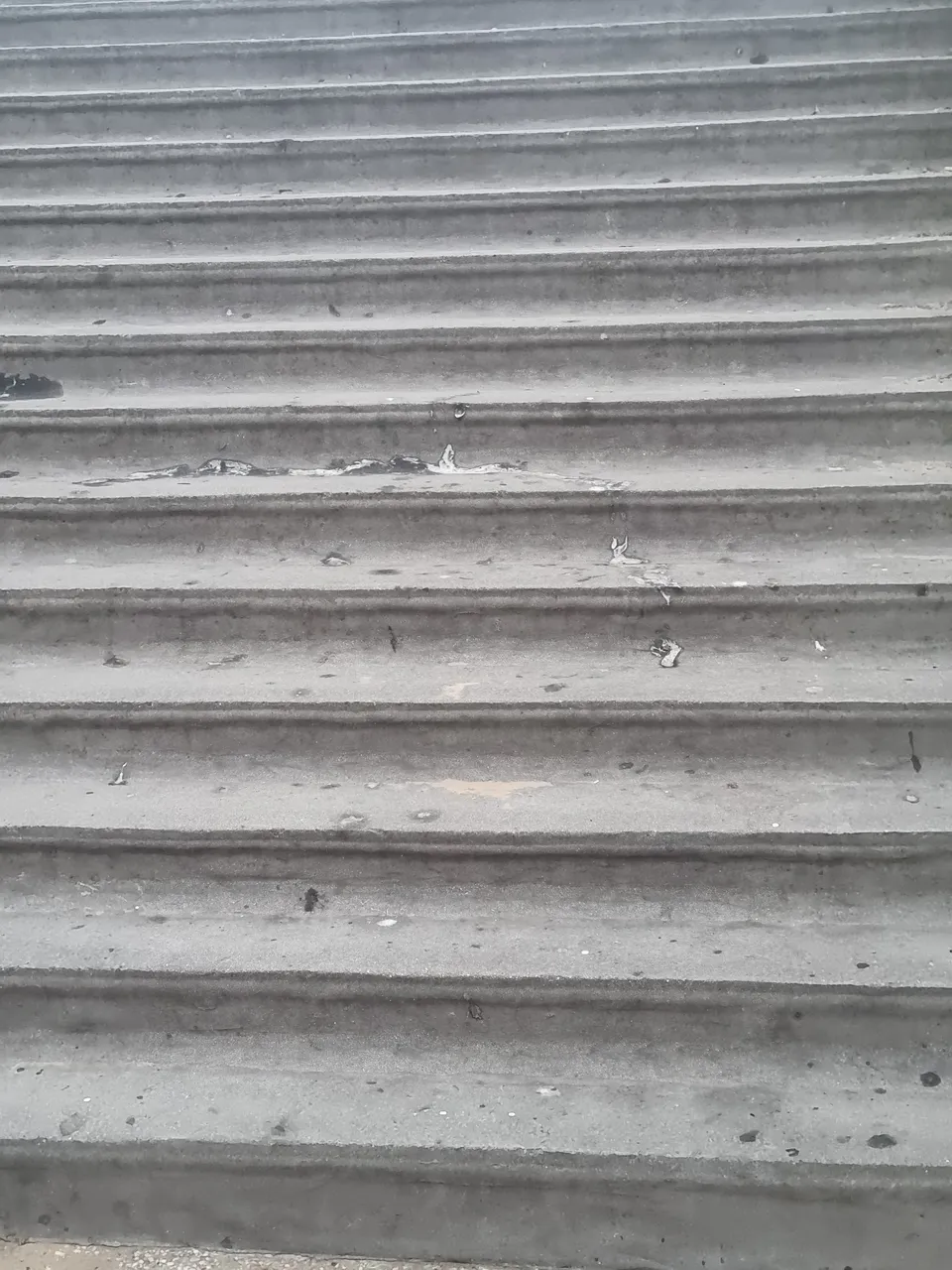 20230906_194826.jpg