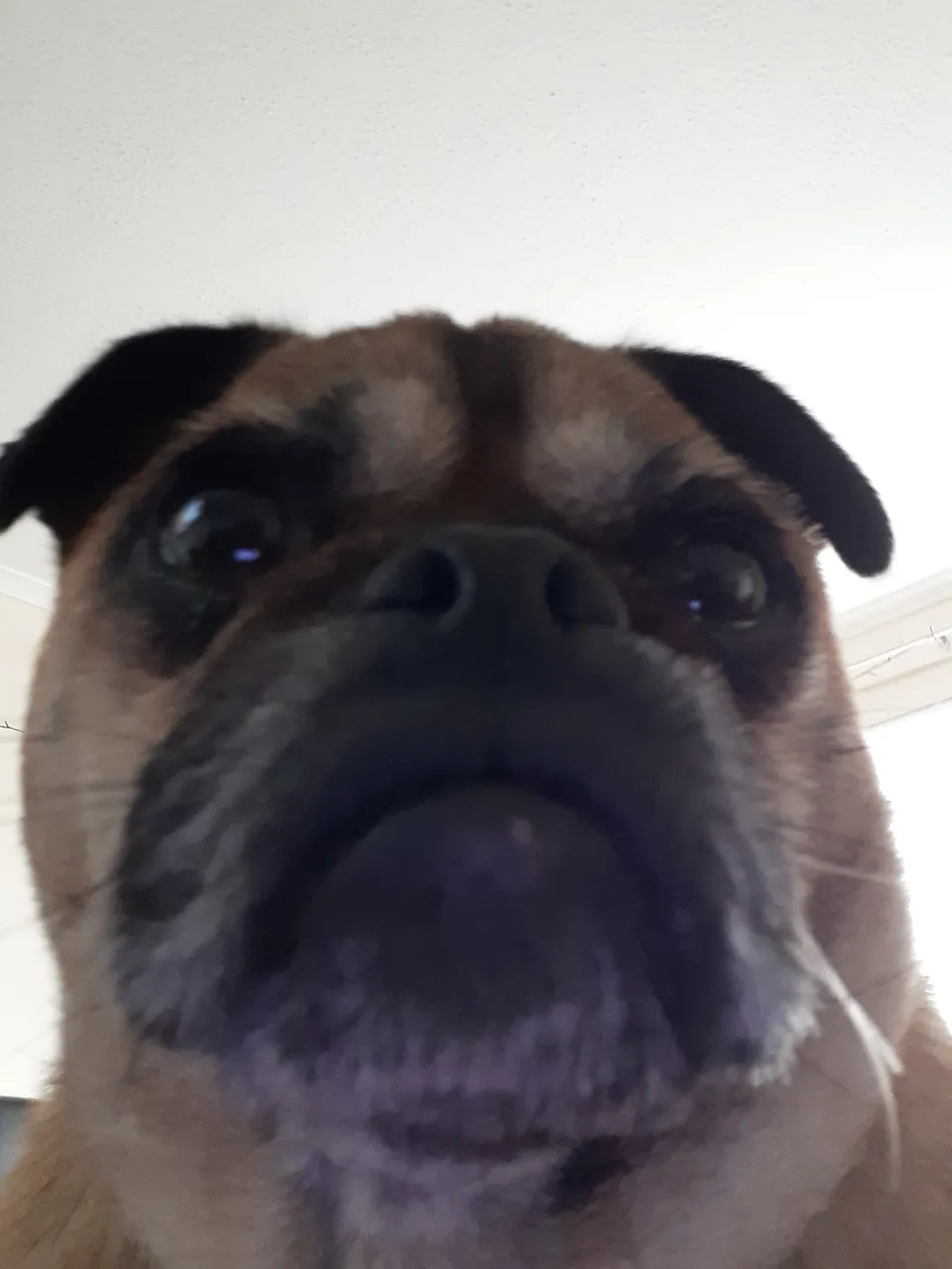 20220423_175910.jpg