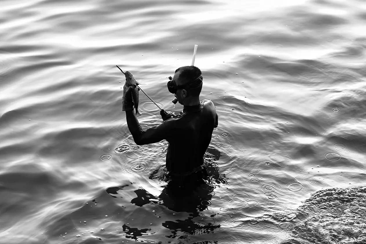 DSC08102-01-01.jpeg
