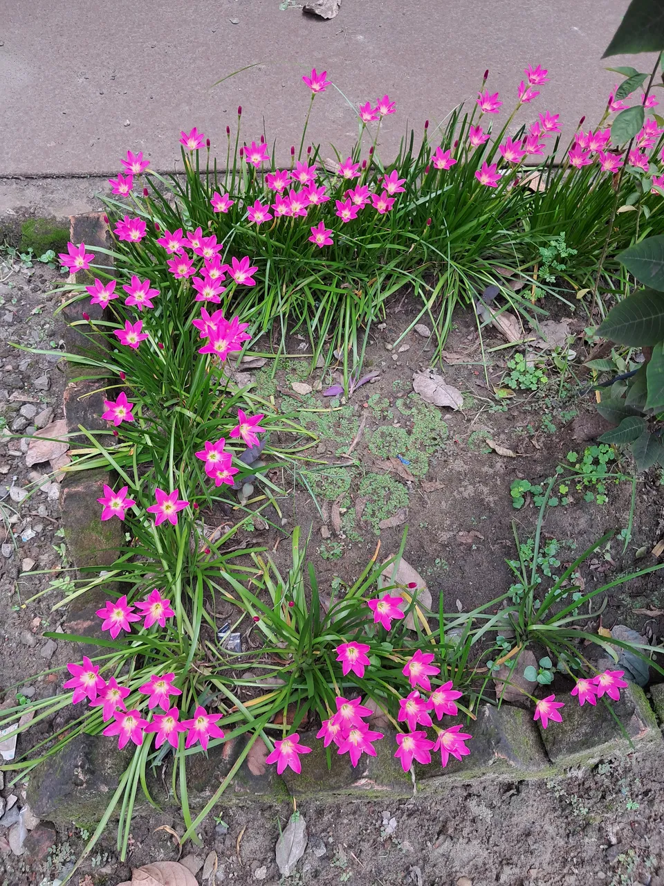 20220908_113845.jpg
