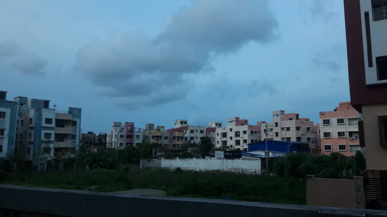20200907_174613.jpg
