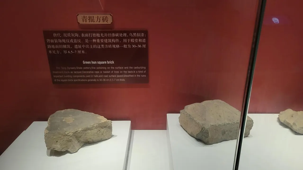 20240823_111043.jpg