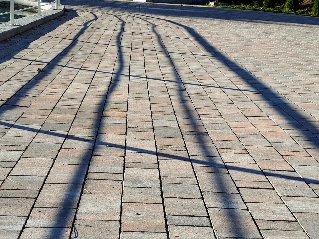 20231109_143547.jpg