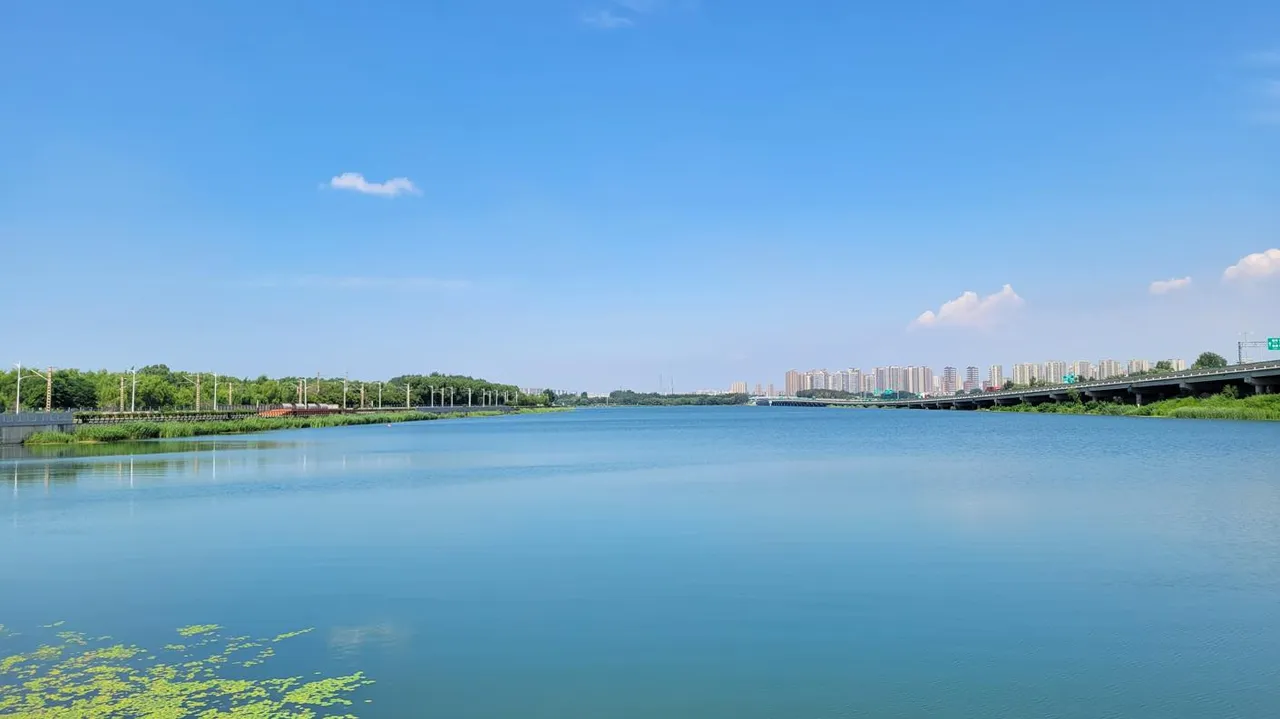 20250801_133912.jpg