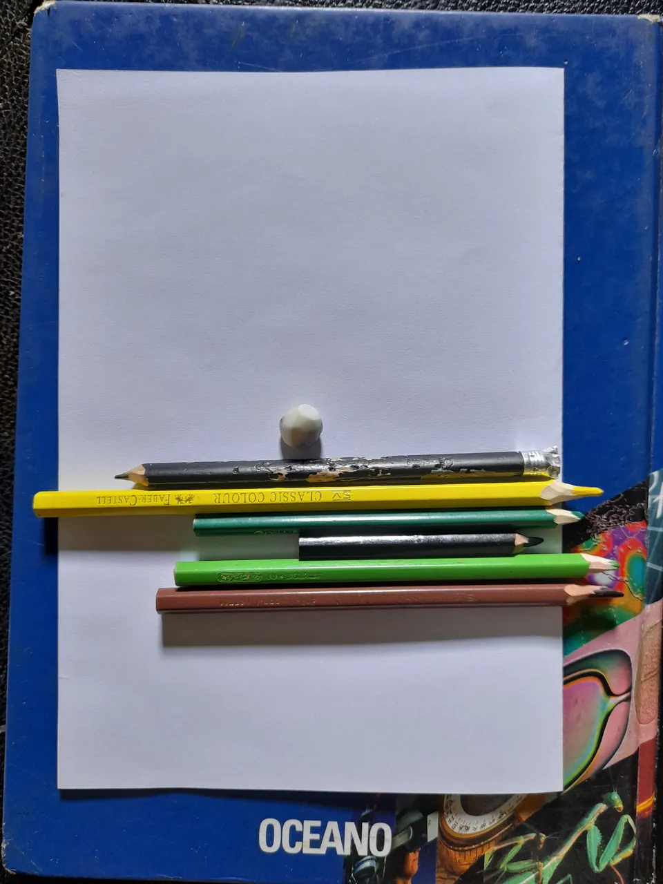 20220419_141051.jpg