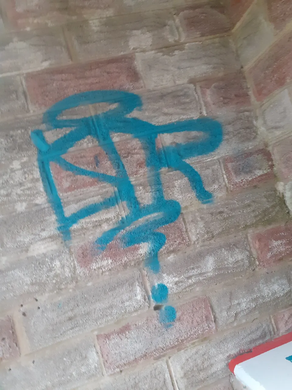 20210618_210015.jpg