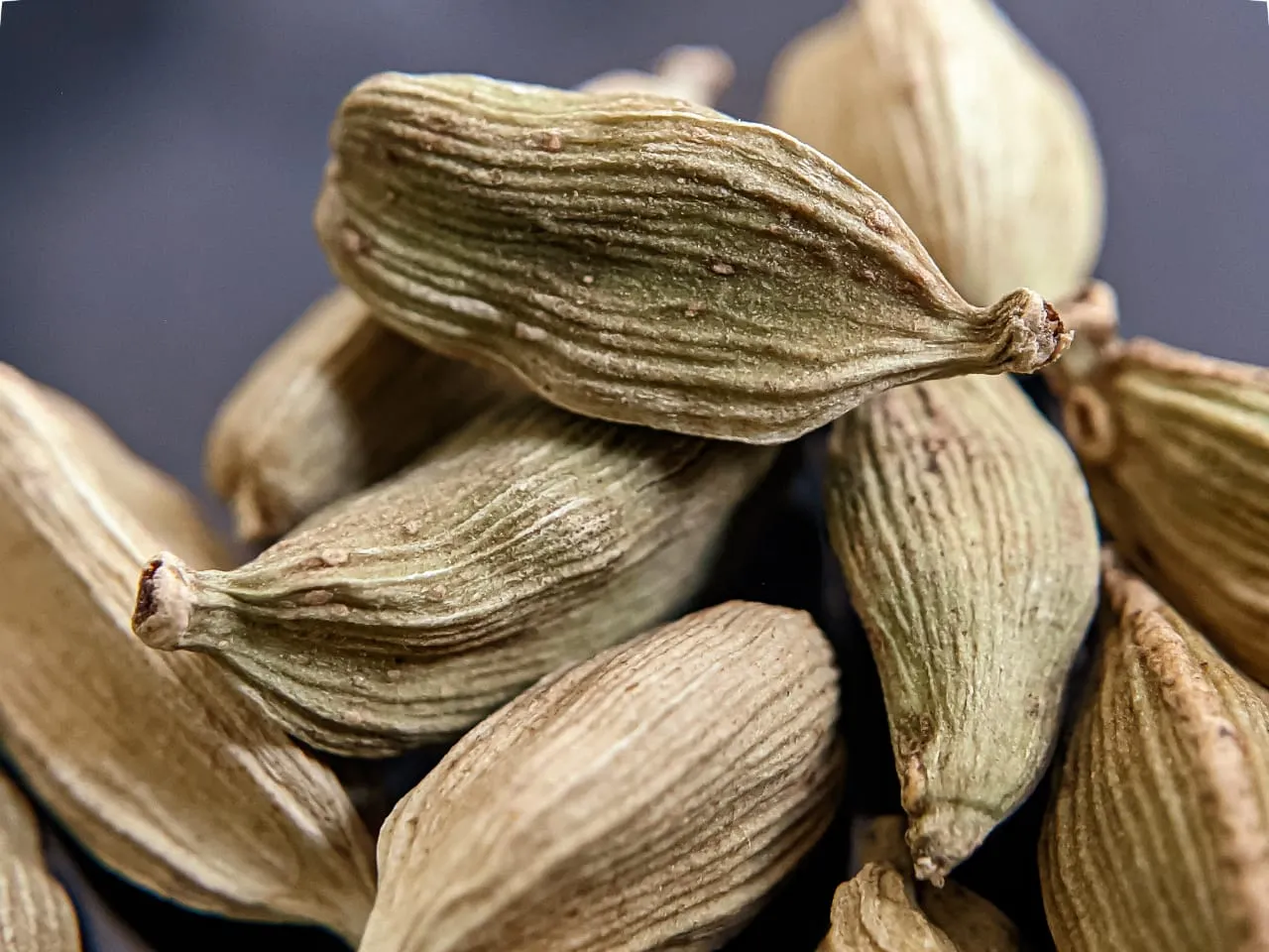 cardamom (7).jpeg