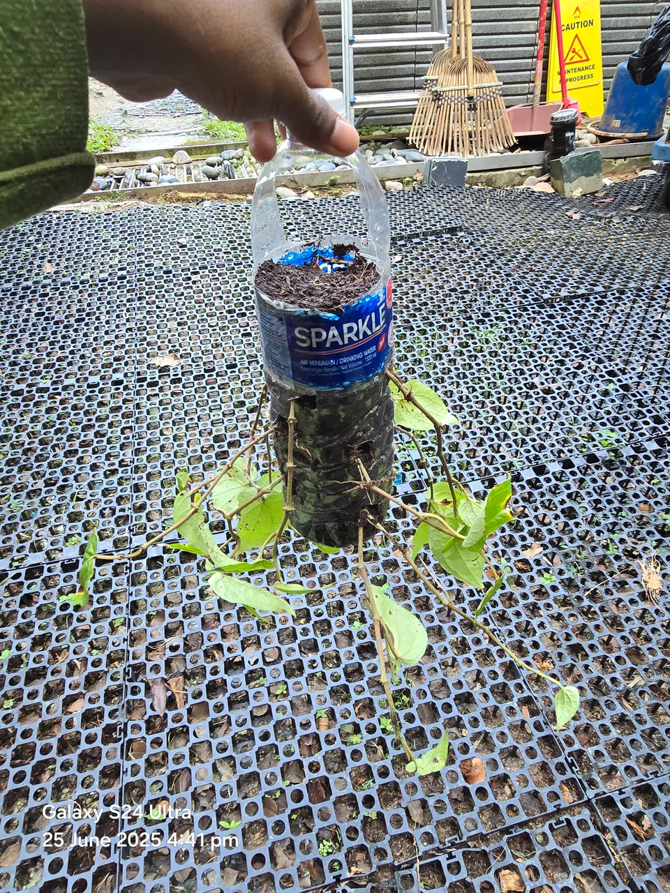 20250625_164155.jpg