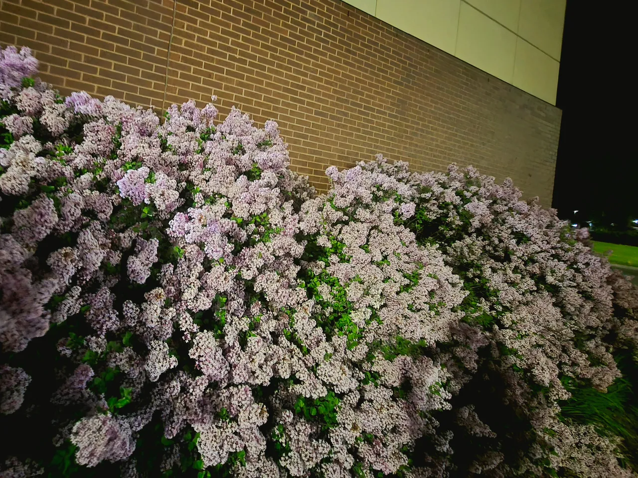 20250531_223605.jpg