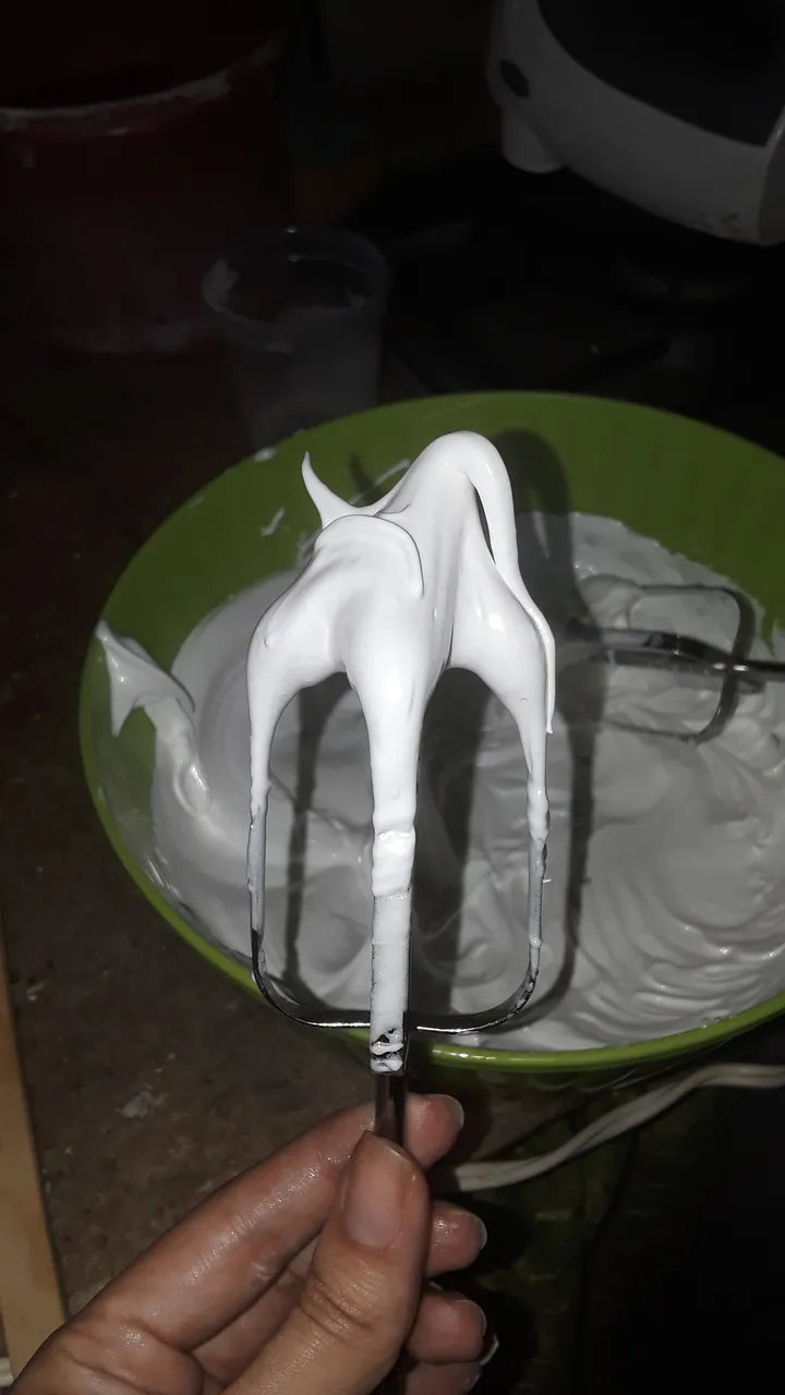 20210408_171155.jpg