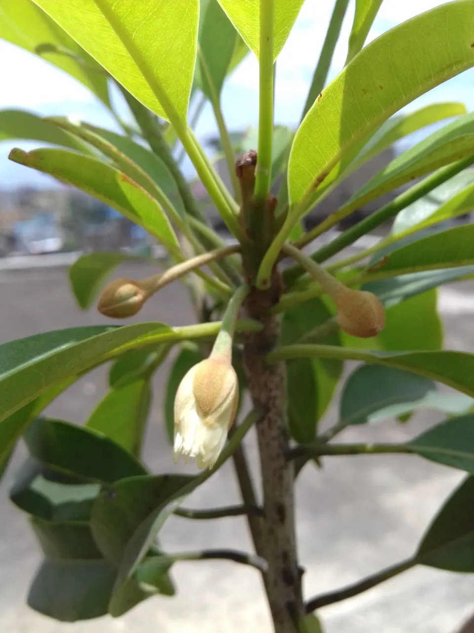 20190621_110932.jpg