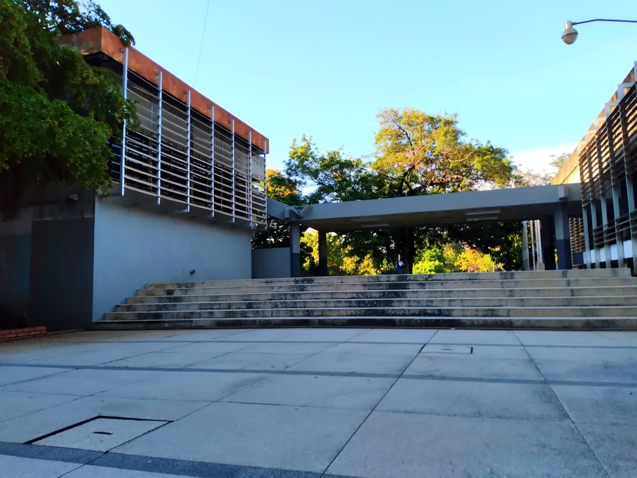 20250716_075240.jpg