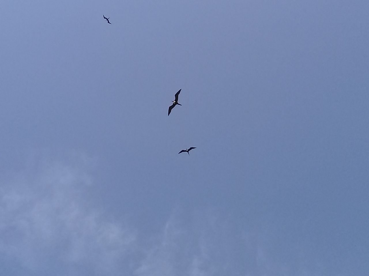 20210720_095030.jpg
