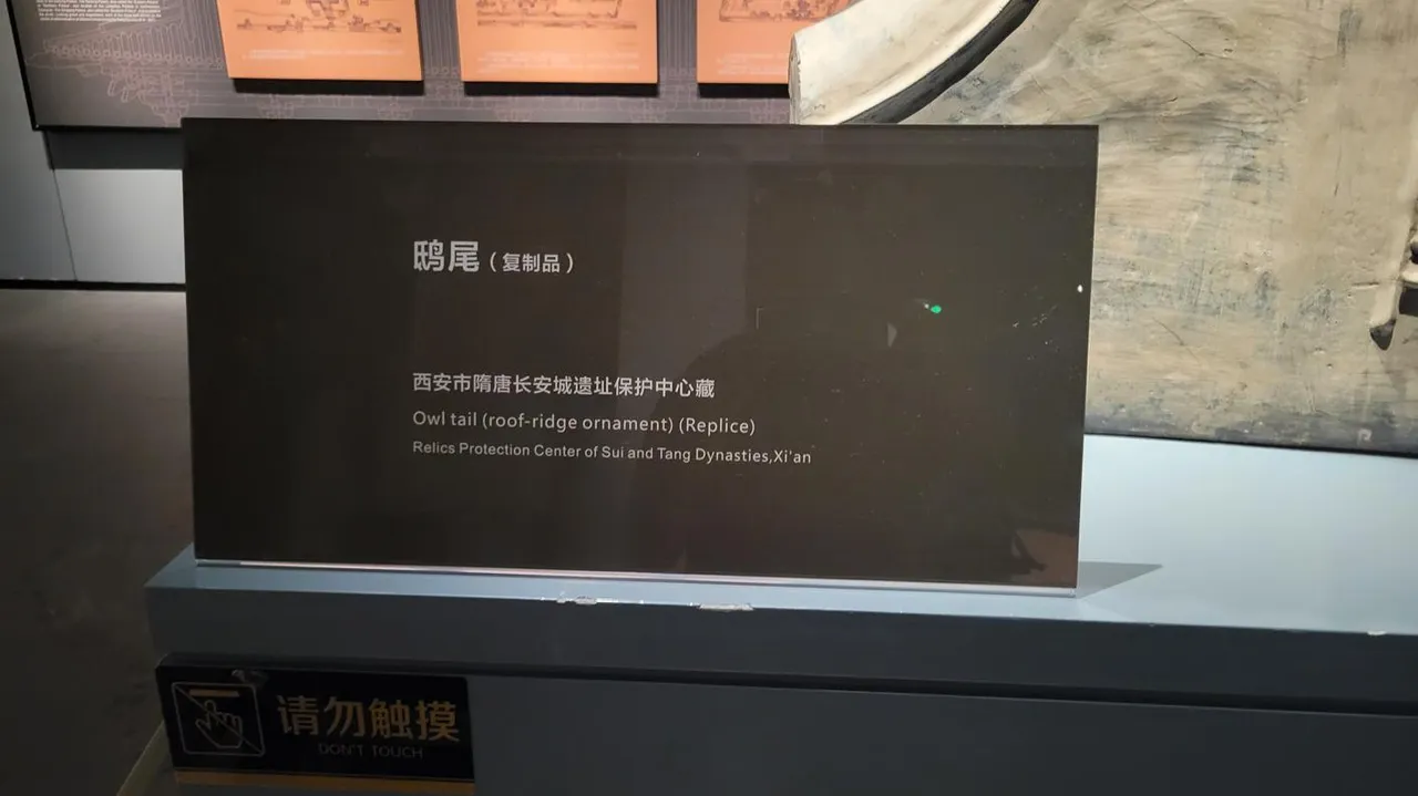 20240823_115032.jpg