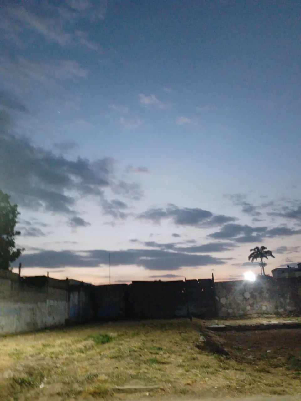 20250316_190319.jpg