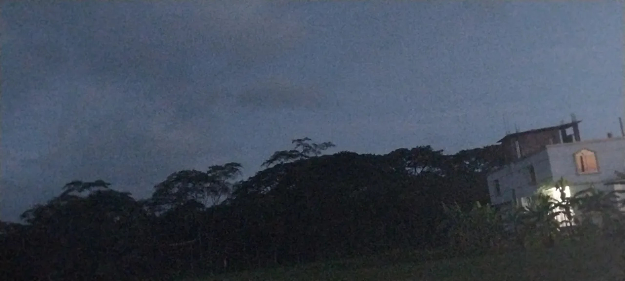 20250627_191014.jpg