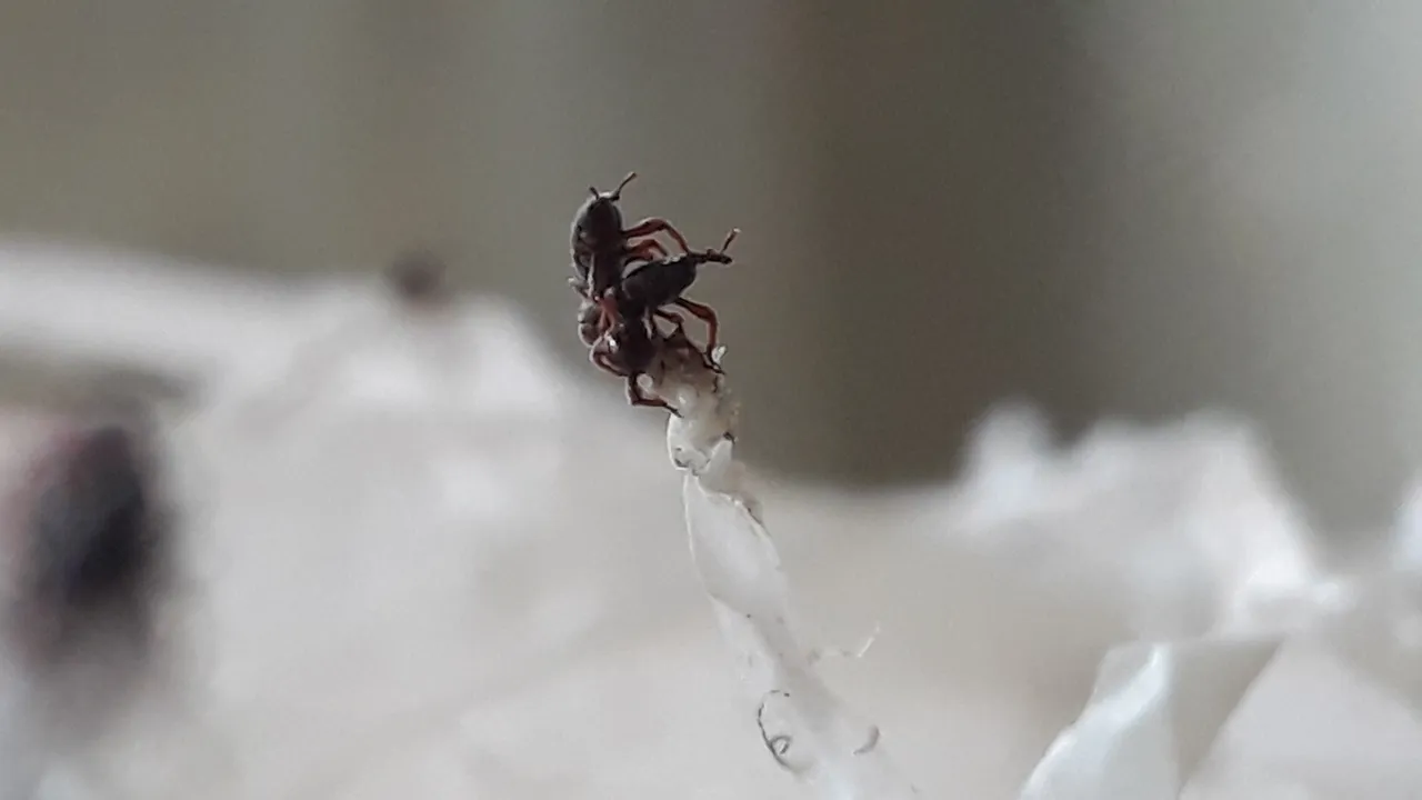 20250218_091722.jpg