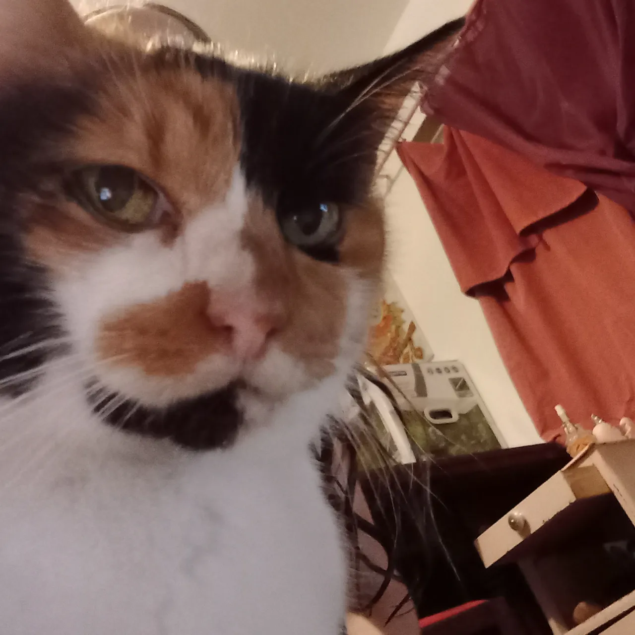 20231112_214540.jpg