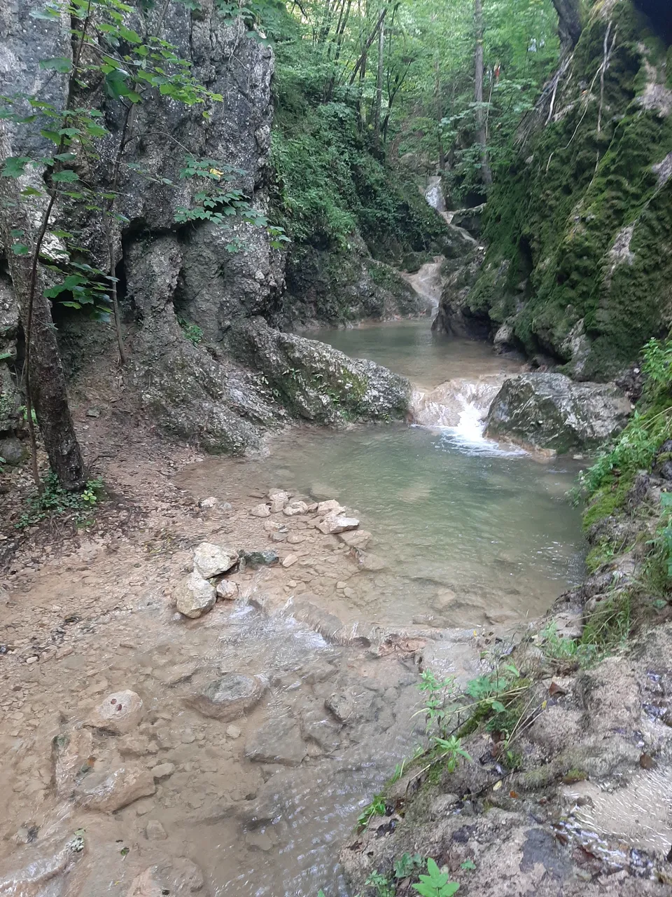 20200816_163833.jpg