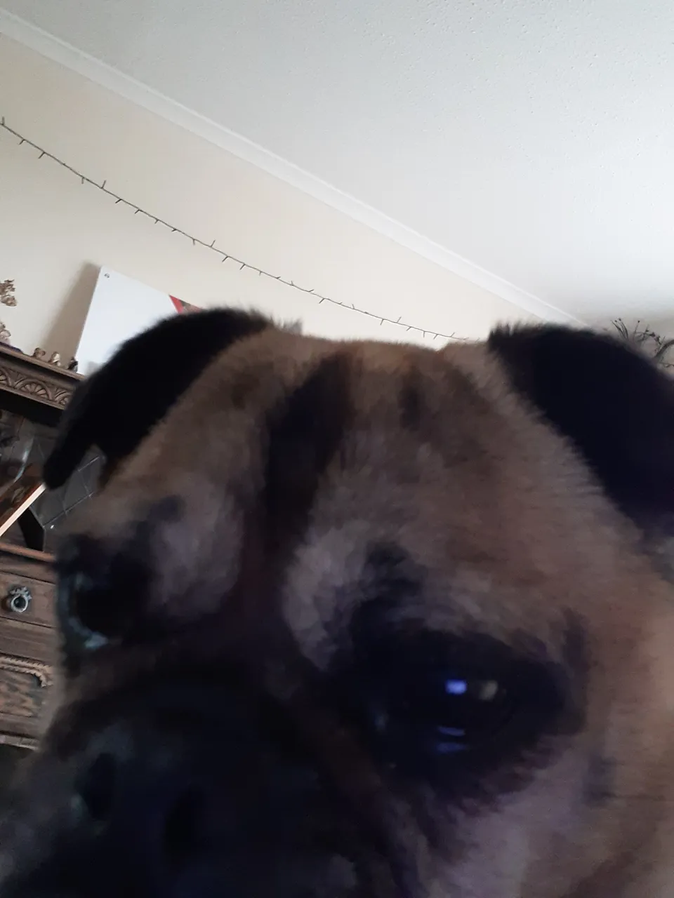 20220423_175914.jpg
