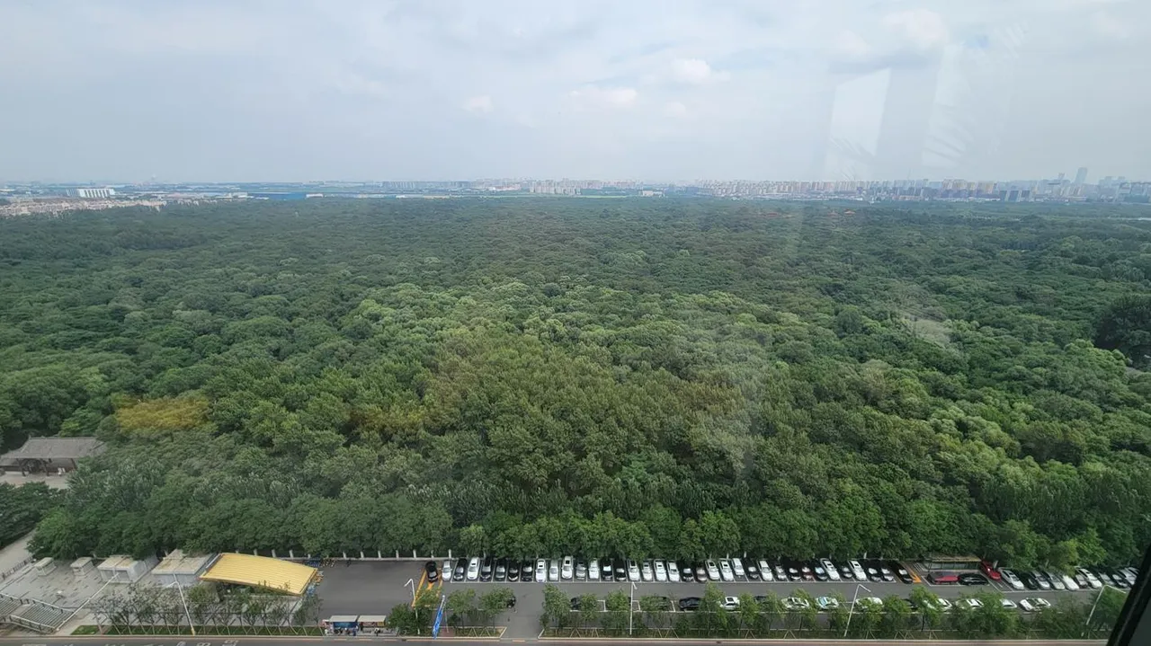 20250725_124856.jpg