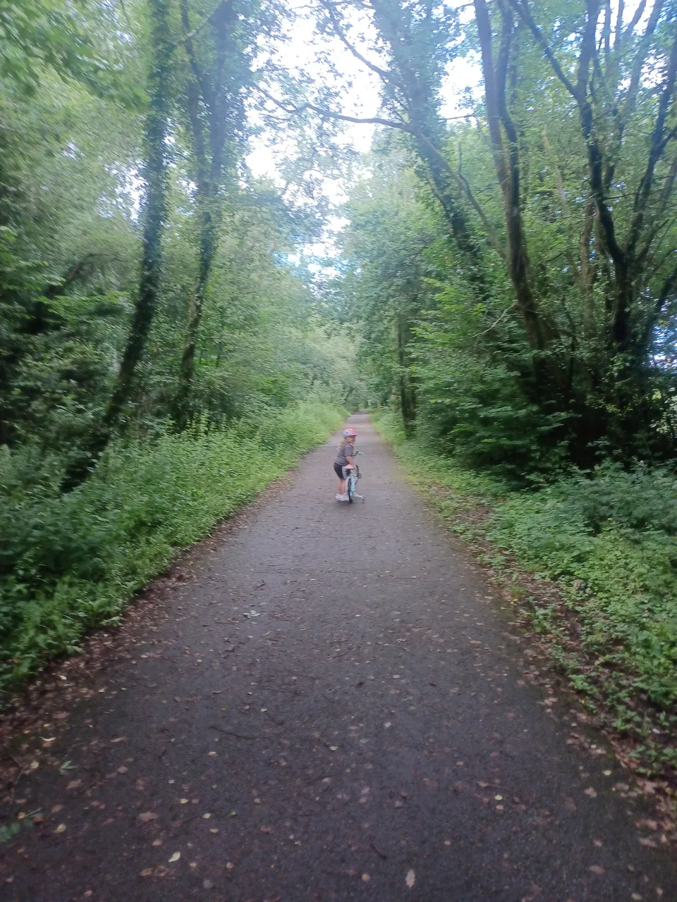 20250629_143337.jpg