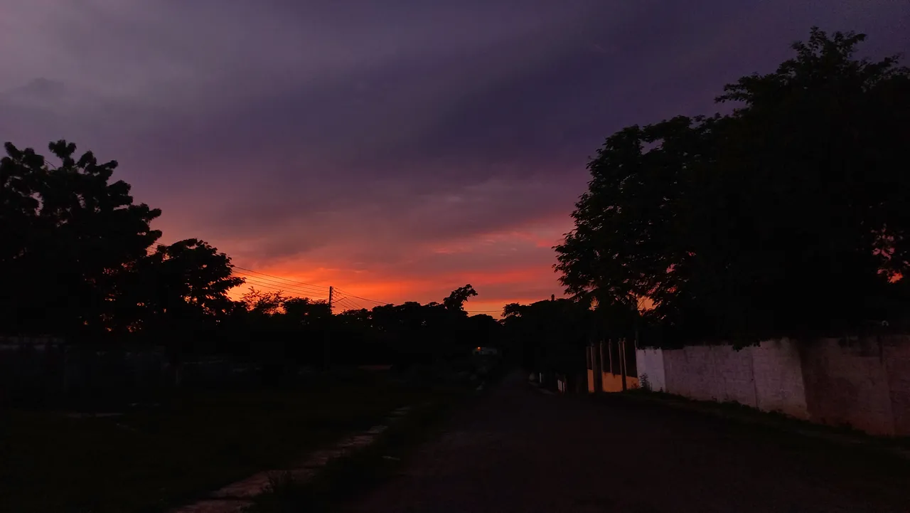 20250729_185146.jpg