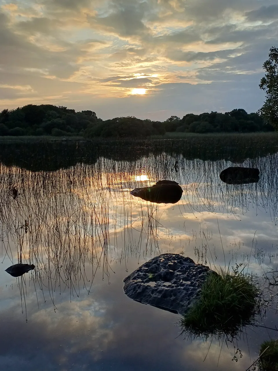 20250722_205737.jpg
